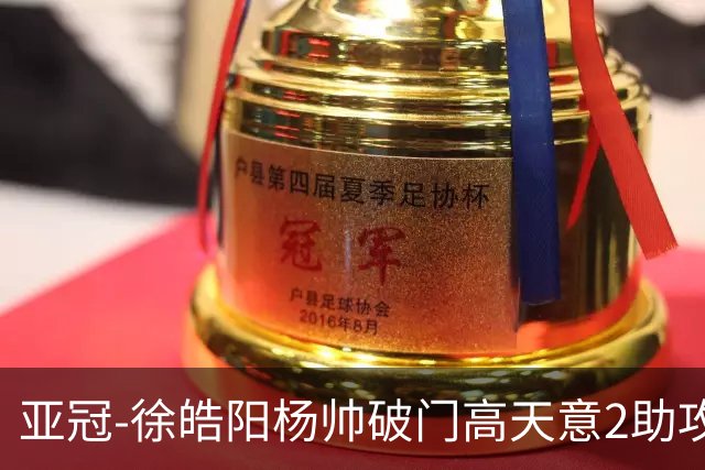 亚冠-徐皓阳杨帅破门高天意2助攻 申花2-1淡滨尼流浪者